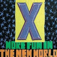 More Fun in the New World